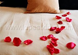 лепестки роз кровать